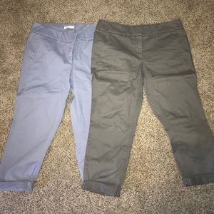 Ann Taylor loft petite crop pant
